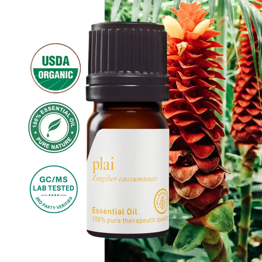 Plai Essential Oil – Thai ginger (Zingiber cassumunar) – therapeutic grade