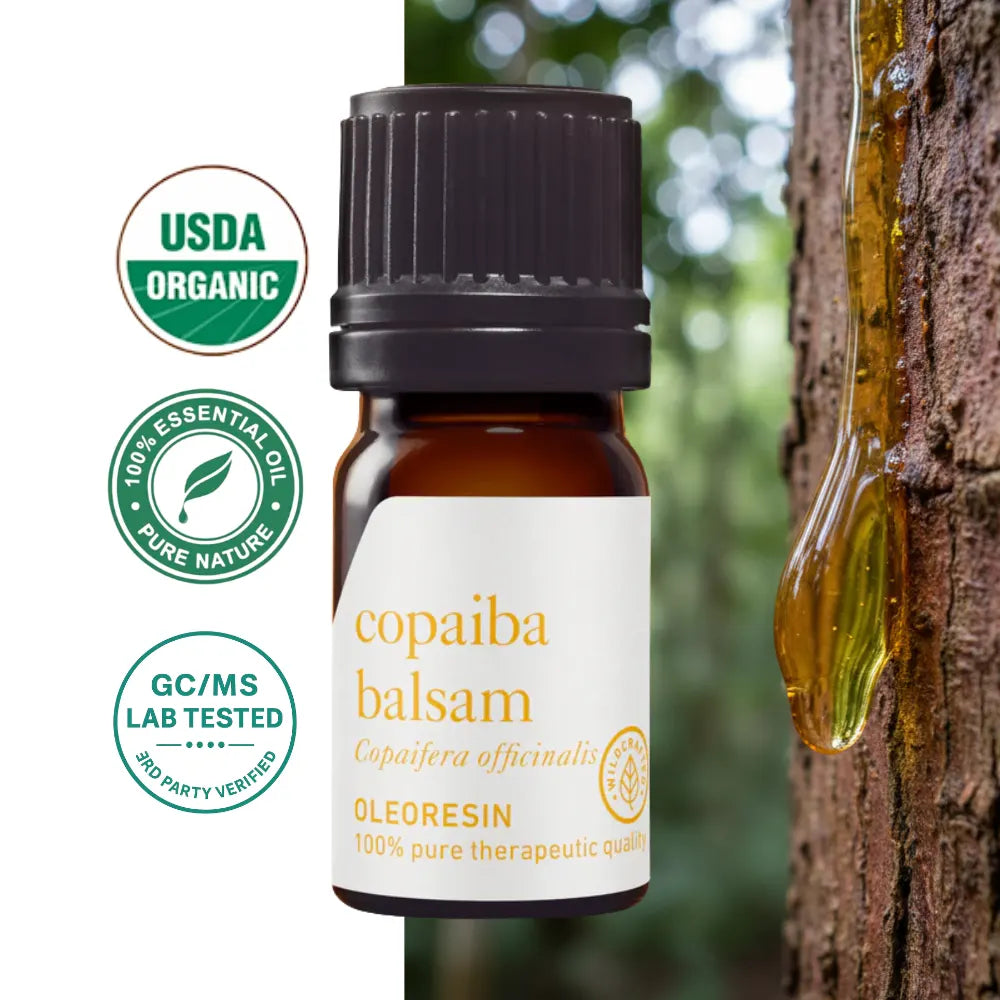 Copaiba Balsam Oleorezyna (Copaifera officinalis) – jakość aromaterapeutyczna