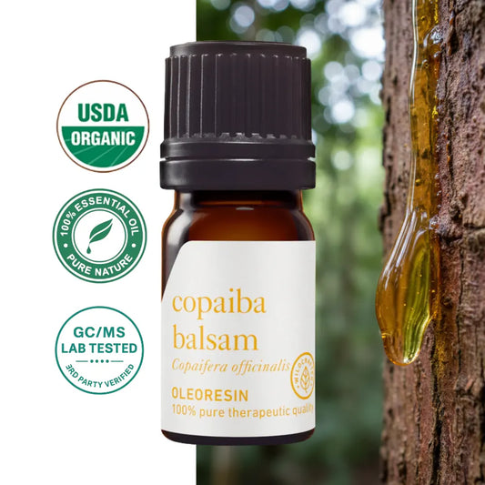 Copaiba Balsam Oleorezyna (Copaifera officinalis) – jakość aromaterapeutyczna