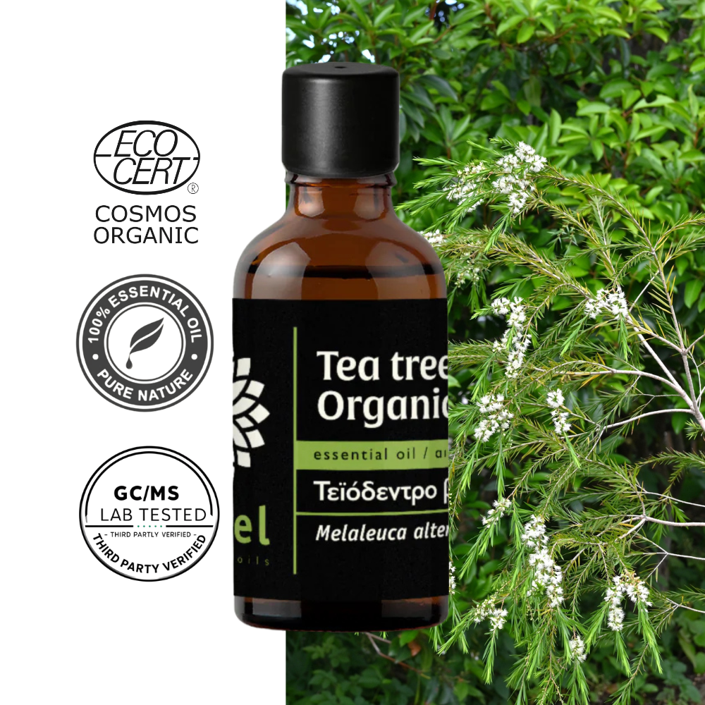 Olejek Eteryczny z Drzewa Herbacianego (Tea Tree) organiczny