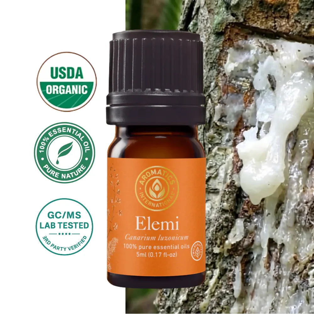 Elemi essential oil from resin (Canarium luzonicum) – 100% natural, pure