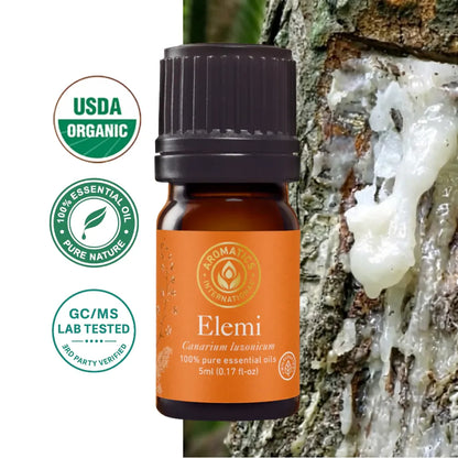 Elemi essential oil from resin (Canarium luzonicum) – 100% natural, pure