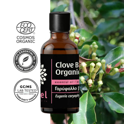 Clove Bud Essential Oil, Organic