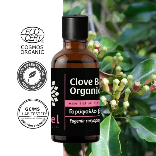 Olejek eteryczny Goździkowy z pąków goździkowca (Clove Bud) organiczny