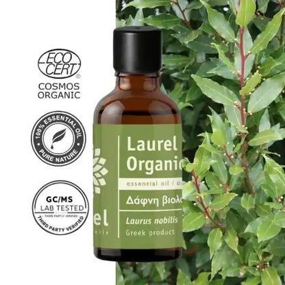 Olejek eteryczny laurowy – wawrzyn szlachetny (Laurus nobilis) organiczny
