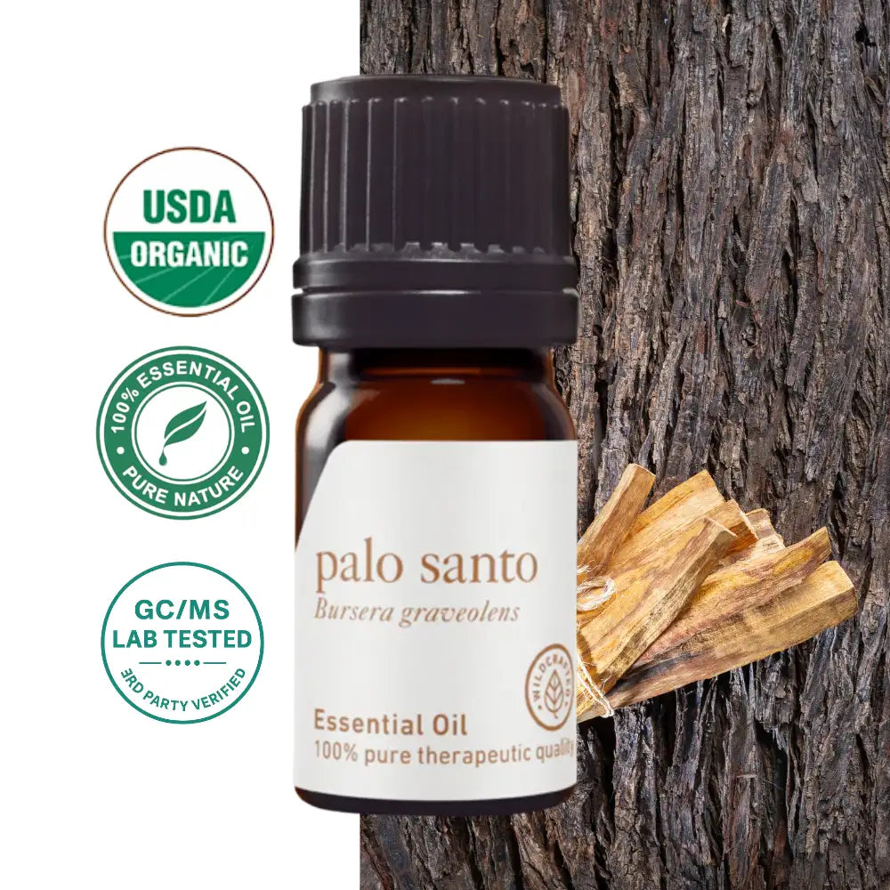 Olejek eteryczny Palo Santo „Święte Drzewo” (Bursera graveolens) – jakość aromaterapeutyczna