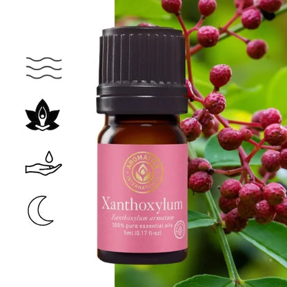 Ätherisches Öl aus Sichuanpfefferfrüchten (Zanthoxylum armatum) – natürlich