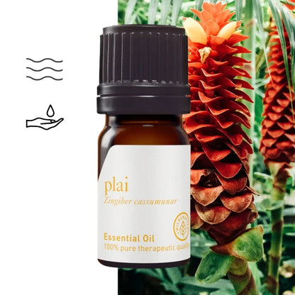 Plai Essential Oil – Thai ginger (Zingiber cassumunar) – therapeutic grade
