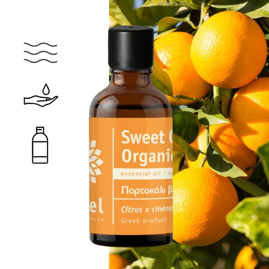Olejek Eteryczny z Pomarańczy Słodkiej Orange (Citrus x sinensis) organiczny