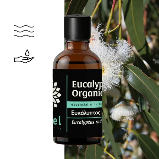 Olejek Eteryczny Eukaliptusowy Radiata ct 1,8-Cineol (Eucalyptus Radiata Organic) organiczny