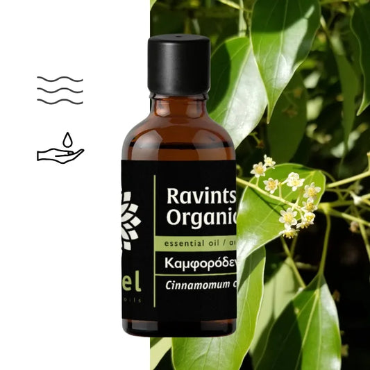 Olejek eteryczny Ravintsara ct 1,8-cineole (Cinnamomum camphora) organiczny