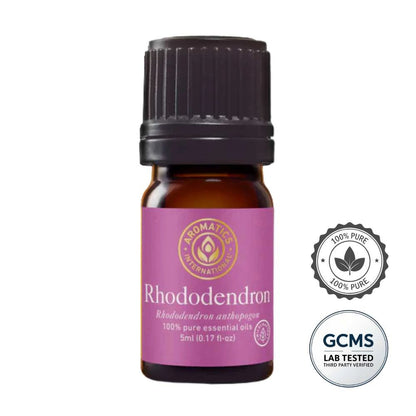 Olejek eteryczny Rododendron (Rhododendron anthopogon) – 100% naturalny, czysty