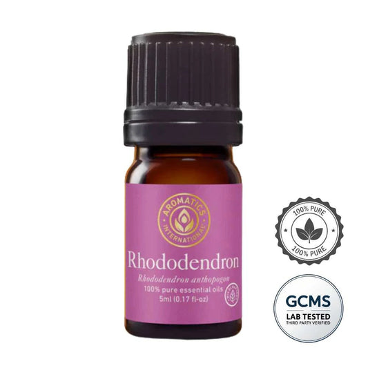 Olejek eteryczny Rododendron (Rhododendron anthopogon) – 100% naturalny, czysty