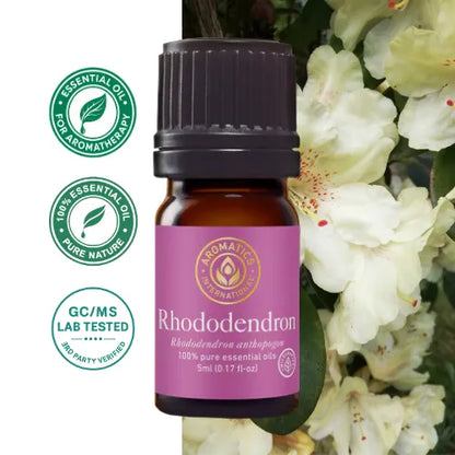 Ätherisches Rhododendronöl (Rhododendron anthopogon) – 100 % natürlich, rein