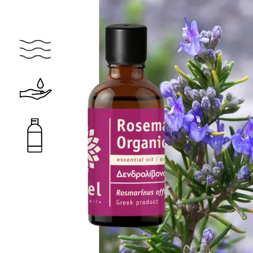 Olejek eteryczny Rozmaryn ct 1,8-Cineole organiczny AromaPremium