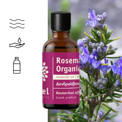 Rosmarinöl ct 1,8-Cineol (Rosmarinus officinalis ct 1,8-Cineol) – Bio