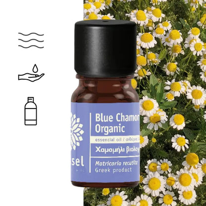 Olejek Eteryczny Rumianek Niemiecki (Matricaria recutita) – ct farnesene / α-bisabolol oxide A organiczny