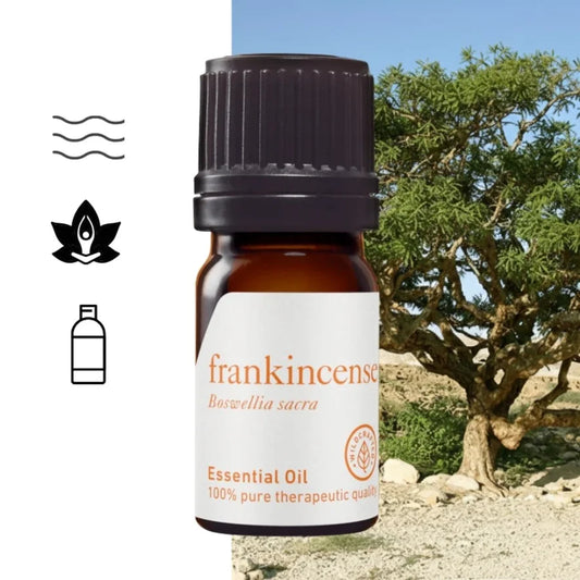 Olejek eteryczny Kadzidłowca Frankincense (Boswellia sacra) – terapeutyczna jakość