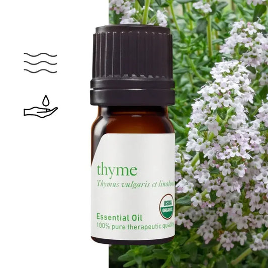Thymianöl mit Linalool (Thymus vulgaris ct. linalool) – therapeutische Qualität