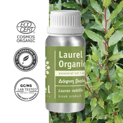 Olejek eteryczny laurowy – wawrzyn szlachetny (Laurus nobilis) organiczny_100ml
