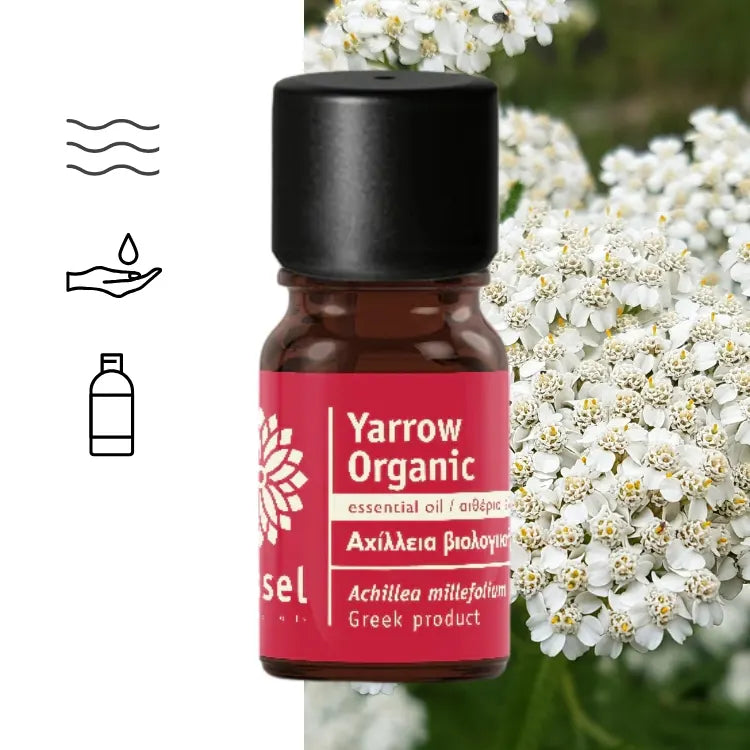 Yarrow (Achillea millefolium) Essential Oil, certified organic