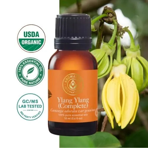 Ätherisches Ylang-Ylang-Öl (vollständig) (Cananga odorata var. genuina)