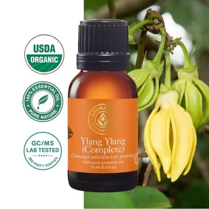 Ylang Ylang Essential Oil (Complete) (Cananga odorata var. genuina)