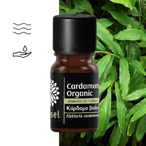 Olejek eteryczny kardamonowy (Elettaria cardamomum) organiczny